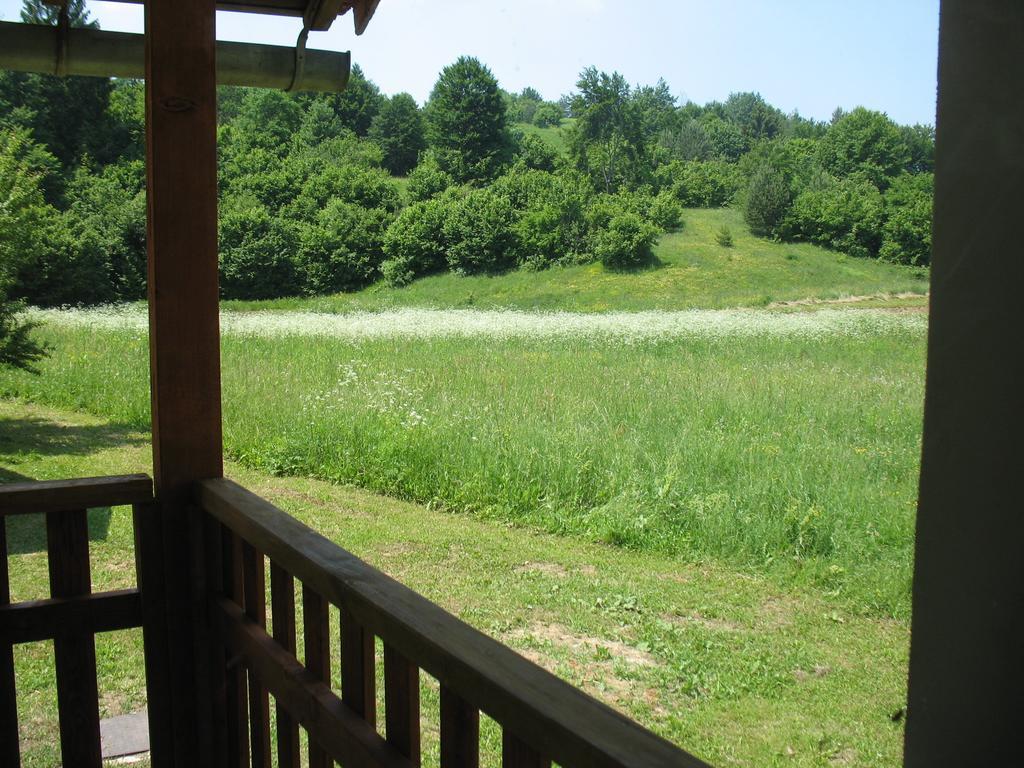 Holiday Home Lana Saborsko 部屋 写真
