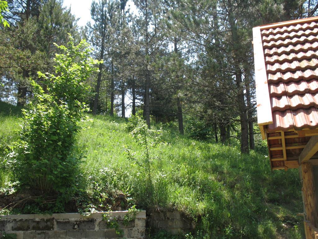 Holiday Home Lana Saborsko 部屋 写真